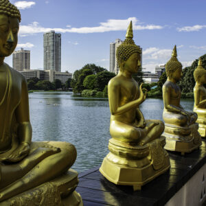 The Buddha Statues